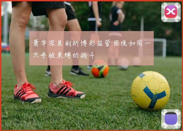 萧华深度剖析博彩监管困境如同一只手被束缚的战斗