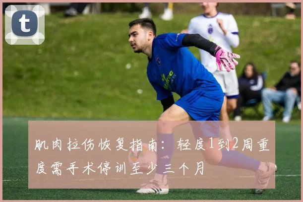 肌肉拉伤恢复指南：轻度1到2周重度需手术停训至少三个月