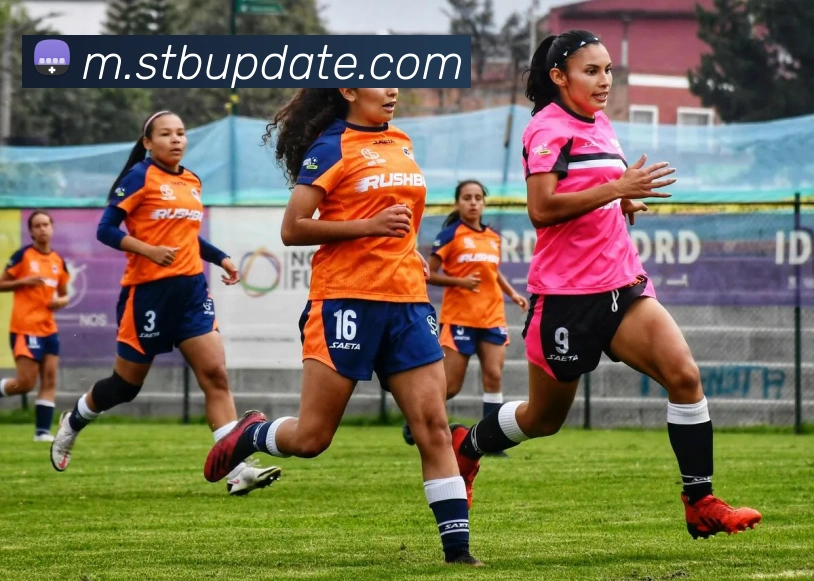 星空体育登录网页入口服务体系